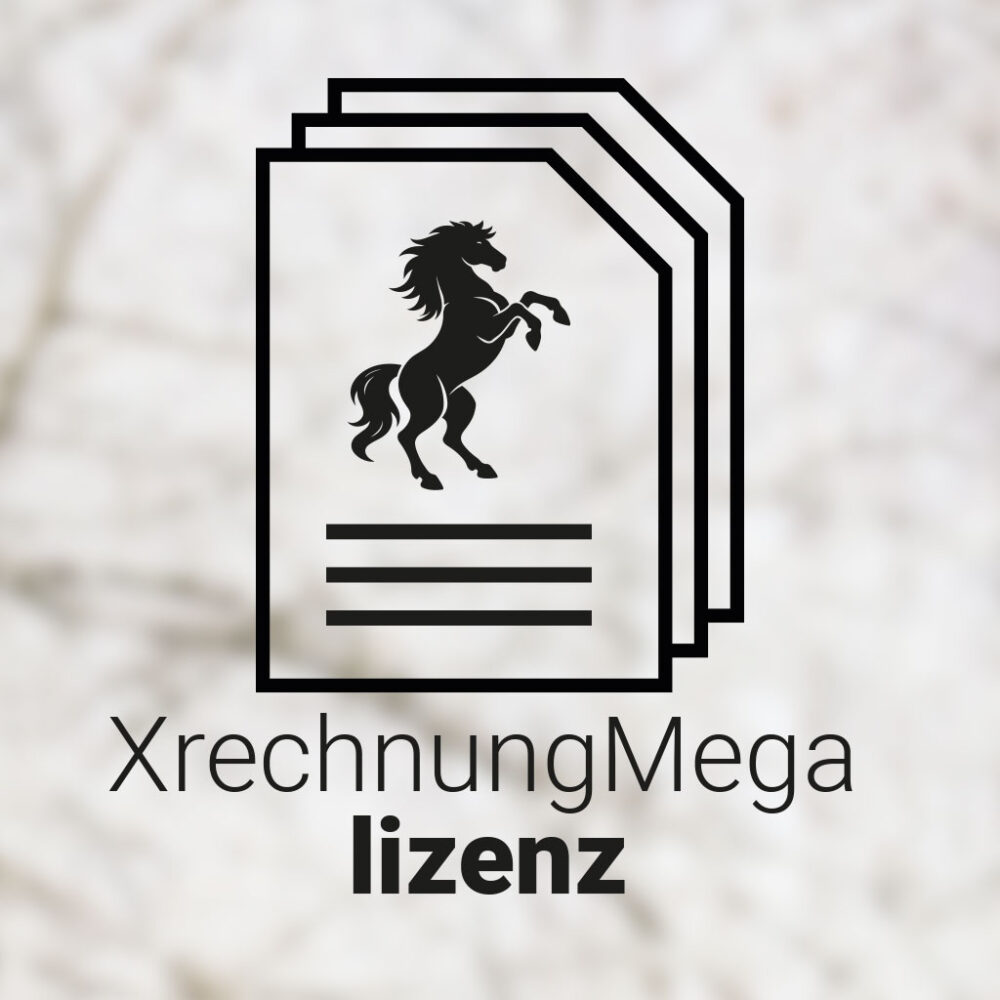 XrechnungMega Lizenz